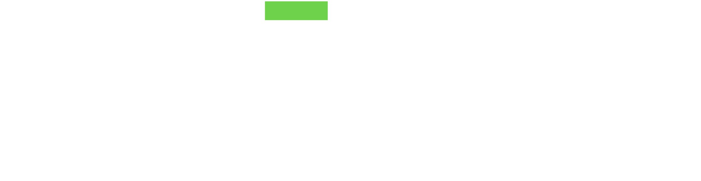 Logo Phenix White Green Logo Phenix White Green